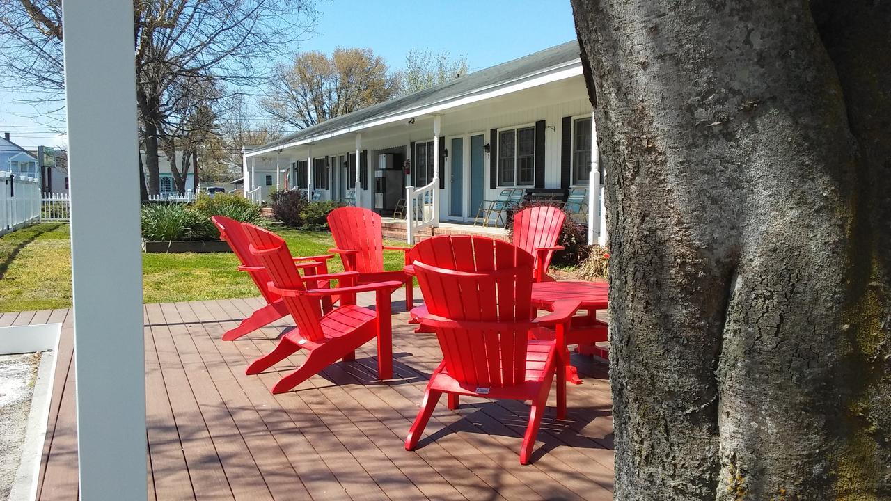 Sea Shell Motel Чинкотиг Экстерьер фото