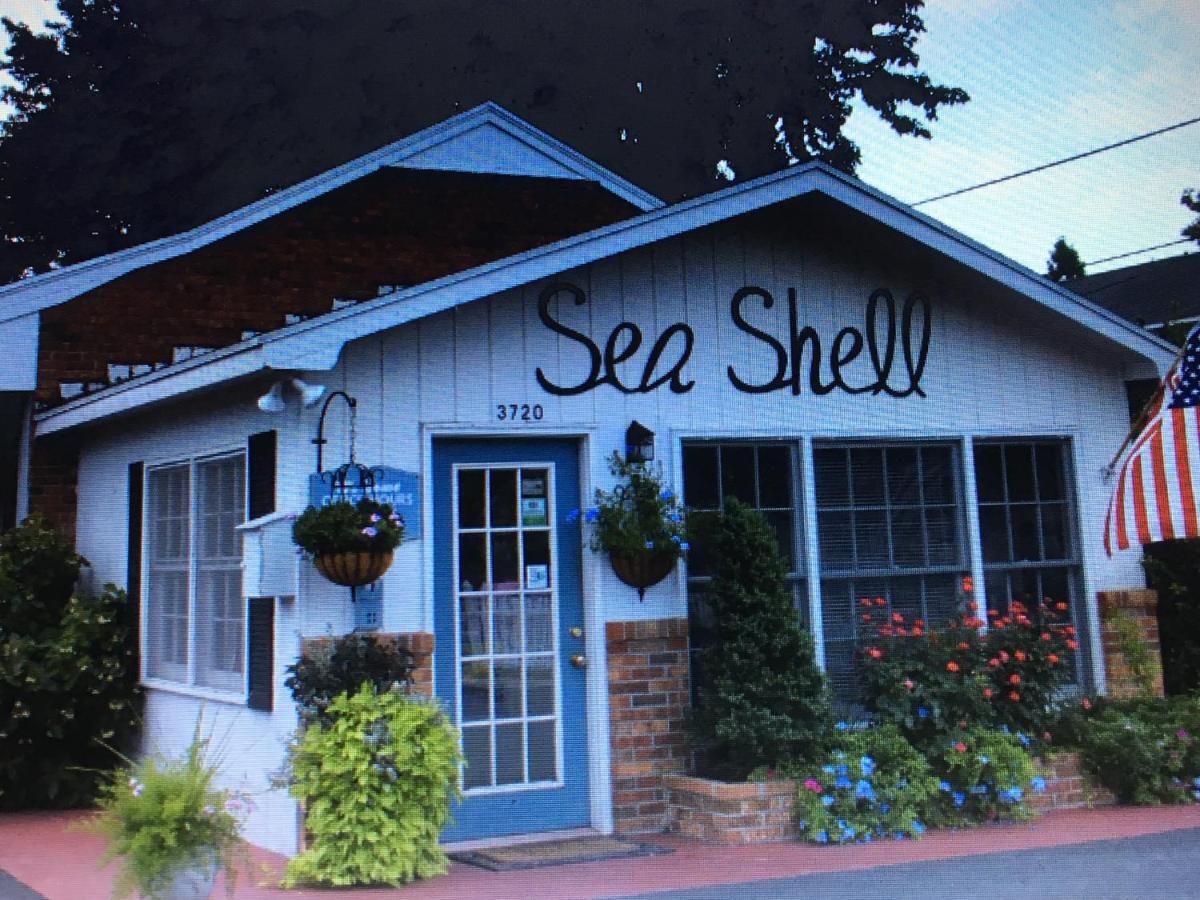 Sea Shell Motel Чинкотиг Номер фото